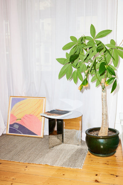 Sustainability at Paper Collective