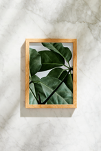 Load image into Gallery viewer, Green Home 01
