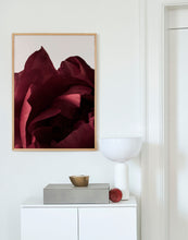 Ladda upp bild till gallerivisning, Peonia 03
