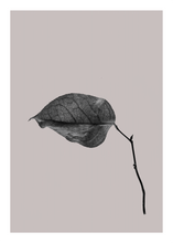 Ladda upp bild till gallerivisning, Sabi Leaf 03
