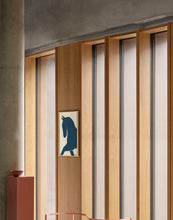 Load image into Gallery viewer, Dressage
