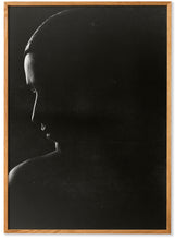 Ladda upp bild till gallerivisning, Silhuetten - Akustikpanel
