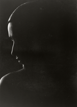 Ladda upp bild till gallerivisning, Silhuetten - Akustikpanel
