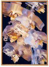 Load image into Gallery viewer, Flora Aquatica 01 - Acoustic Panel
