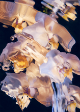 Load image into Gallery viewer, Flora Aquatica 01 - Acoustic Panel
