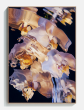 Ladda upp bild till gallerivisning, Flora Aquatica 01 - Akustikpanel

