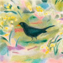 Ladda upp bild till gallerivisning, Un Merle - Acoustic Panel
