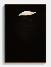 Load image into Gallery viewer, Swan - Acoustic Panel

