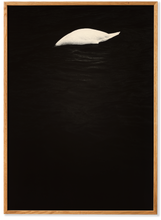 Ladda upp bild till gallerivisning, Swan - Acoustic Panel
