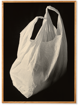 Ladda upp bild till gallerivisning, Plastic Bag - Acoustic Panel
