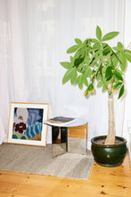 Load image into Gallery viewer, El Corazón Escondido 
