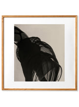 Load image into Gallery viewer, Transluscent II 30x30
