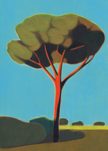 Ladda upp bild till gallerivisning, Pinetree in Toscana
