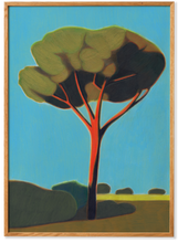 Ladda upp bild till gallerivisning, Pinetree in Toscana - Acoustic Panel
