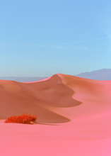 Ladda upp bild till gallerivisning, Dunes II
