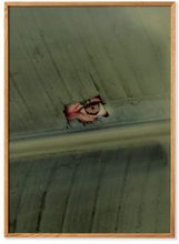 Ladda upp bild till gallerivisning, Naturaleza 02 - Acoustic Panel
