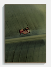 Load image into Gallery viewer, Naturaleza 02 - Acoustic Panel
