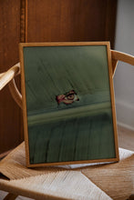 Ladda upp bild till gallerivisning, Naturaleza 02 
