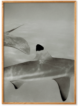 Ladda upp bild till gallerivisning, Abyssal - Acoustic Panel
