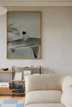 Ladda upp bild till gallerivisning, Abyssal 
