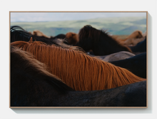 Ladda upp bild till gallerivisning, The Herd 01 - Acoustic Panel
