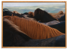 Ladda upp bild till gallerivisning, The Herd 01 - Acoustic Panel
