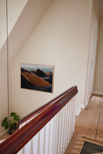 Ladda upp bild till gallerivisning, The Herd 01 100x70 cm
