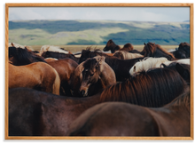 Ladda upp bild till gallerivisning, The Herd 02 - Acoustic Panel
