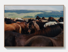 Load image into Gallery viewer, The Herd 02 - Acoustic Panel
