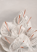 Ladda upp bild till gallerivisning, White In White
