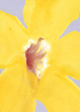 Ladda upp bild till gallerivisning, In Full Bloom 01
