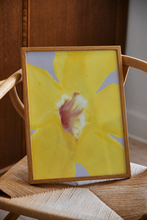 Ladda upp bild till gallerivisning, In Full Bloom 01
