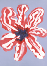 Ladda upp bild till gallerivisning, In Full Bloom 02
