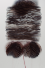 Ladda upp bild till gallerivisning, Fiberium 02 (Limited Edition)
