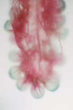 Ladda upp bild till gallerivisning, Fiberium 03 (Limited Edition)
