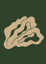 Load image into Gallery viewer, Coral 02
