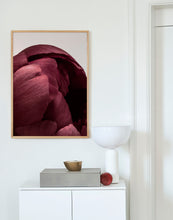 Ladda upp bild till gallerivisning, Peonia 01
