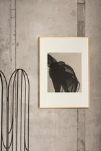 Ladda upp bild till gallerivisning, Genomskinlig II
