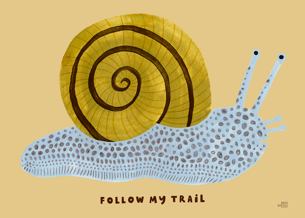 Follow My Trail