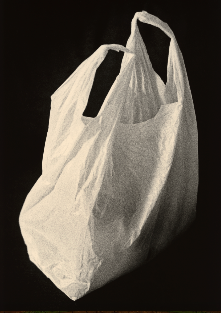 Plastic Bag