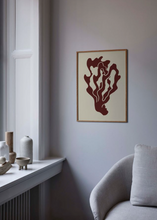 Load image into Gallery viewer, Coral 01
