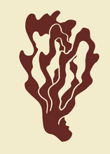 Load image into Gallery viewer, Coral 01
