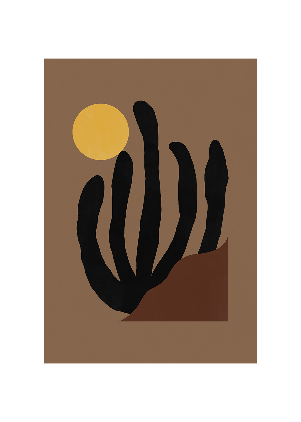 Canyon