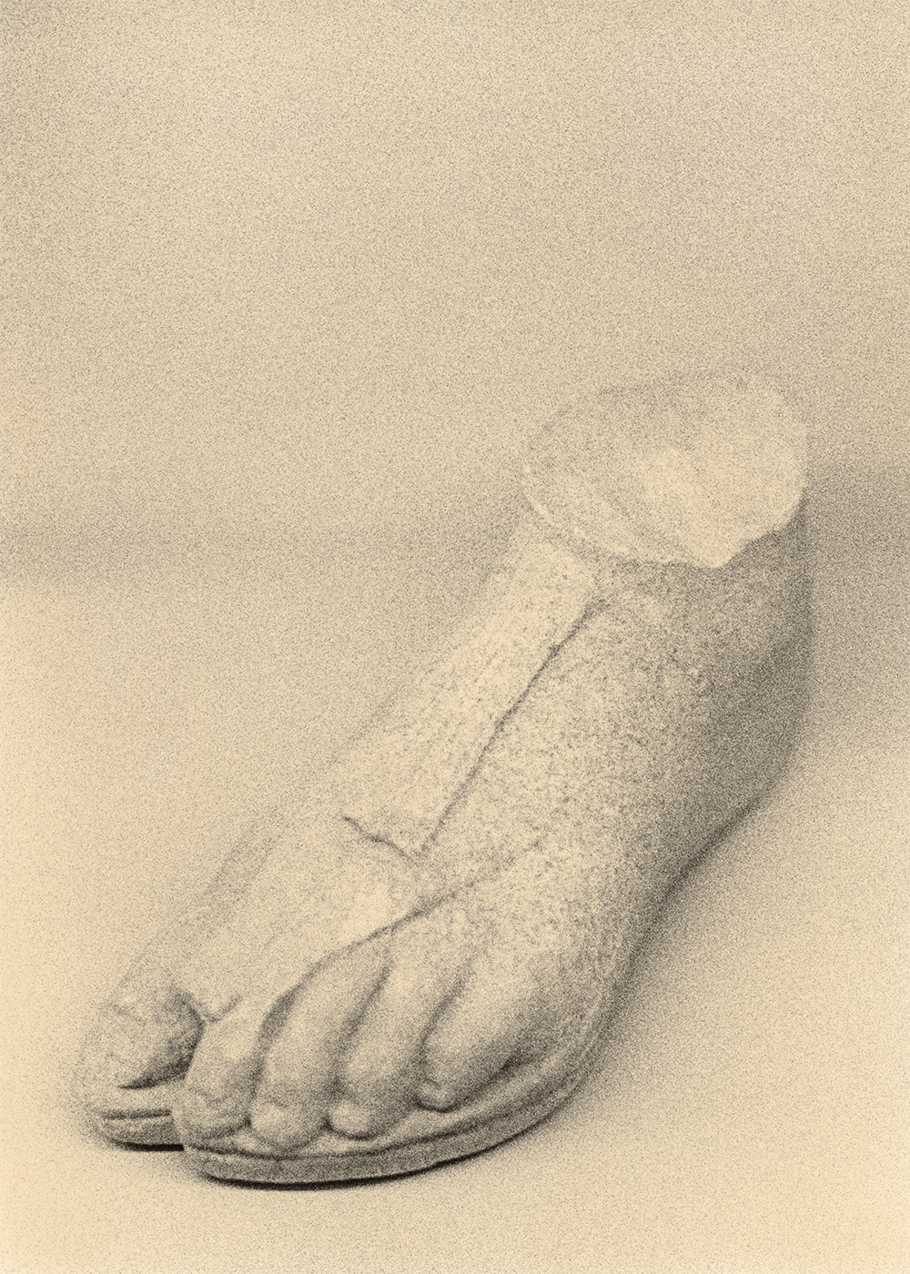The Foot