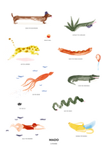 Ladda upp bild till gallerivisning, MADO &amp; VÄNNER
