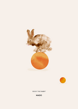 Ladda upp bild till gallerivisning, Rocky the Rabbit - Ball
