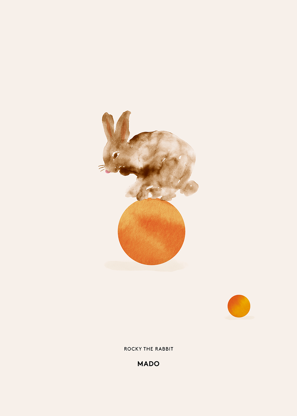 Rocky the Rabbit - Ball