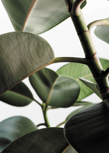 Load image into Gallery viewer, Green Home 03
